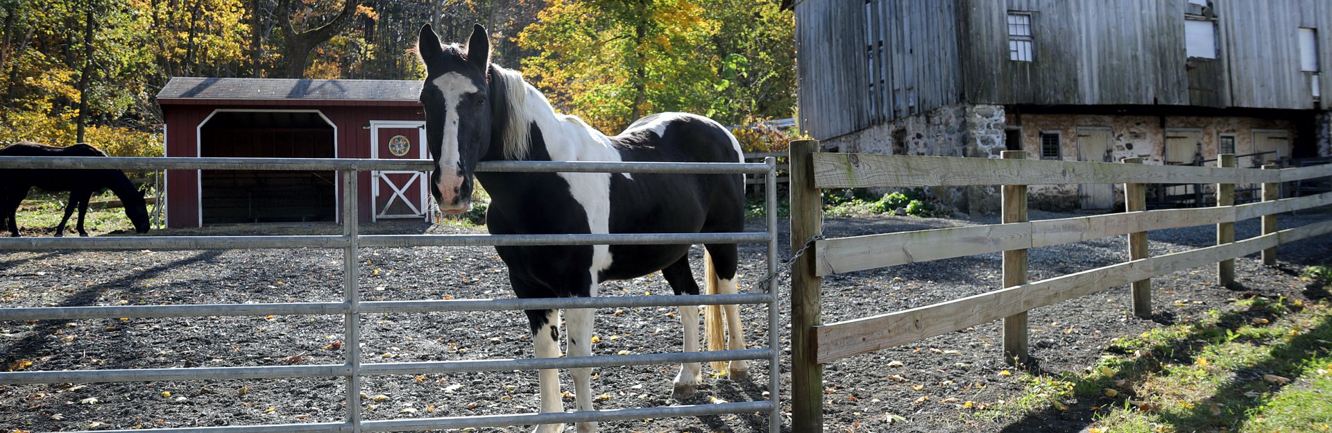 Upper Milford Township