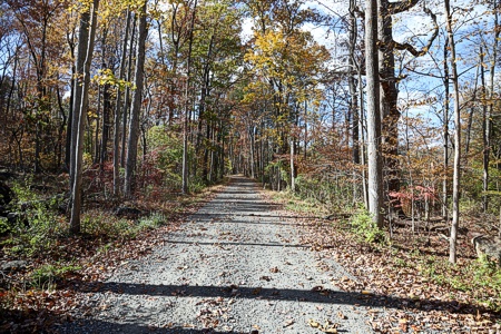 Upper Milford Township